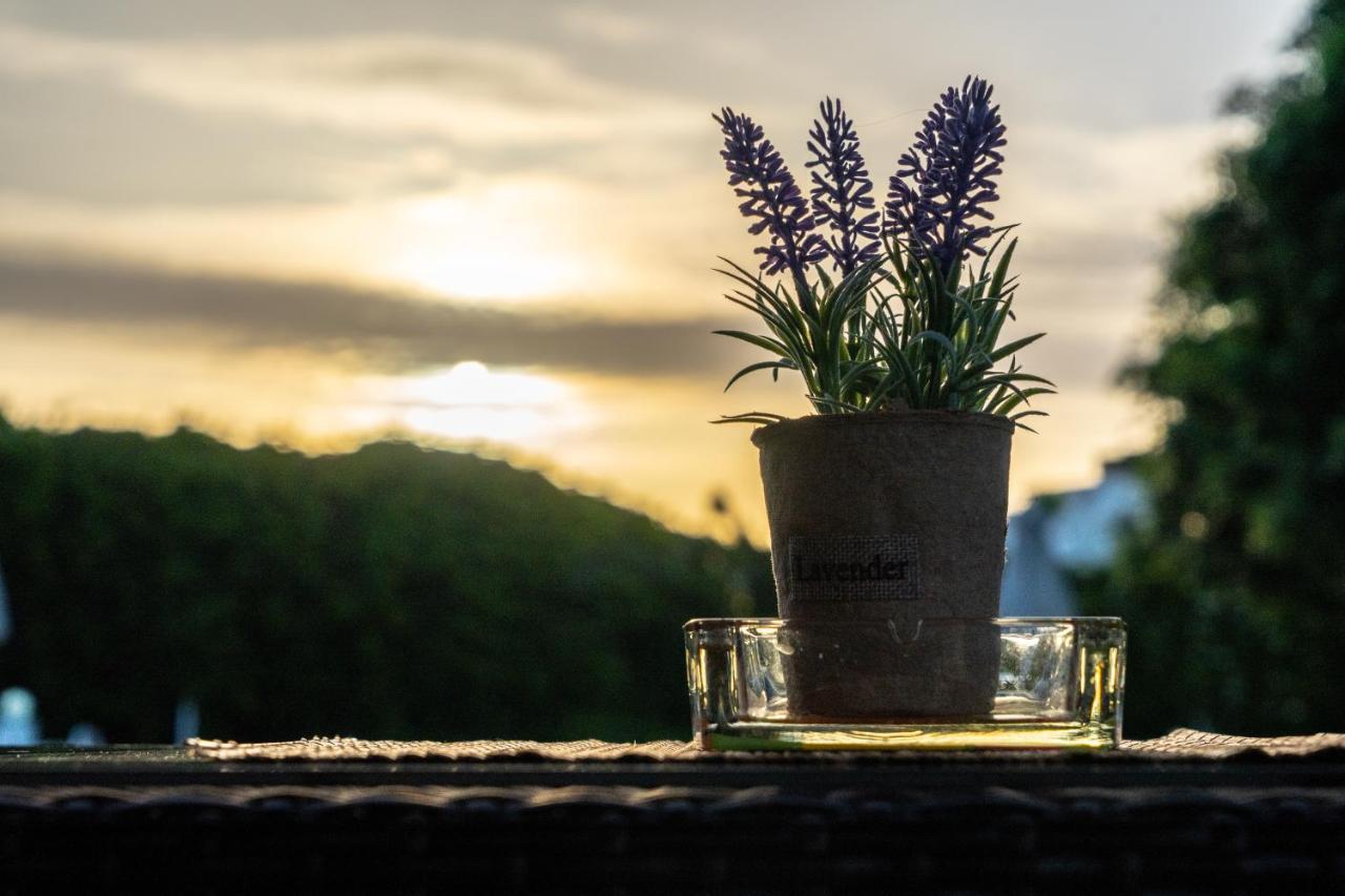 Abella Hotel Agia Marina Dış mekan fotoğraf